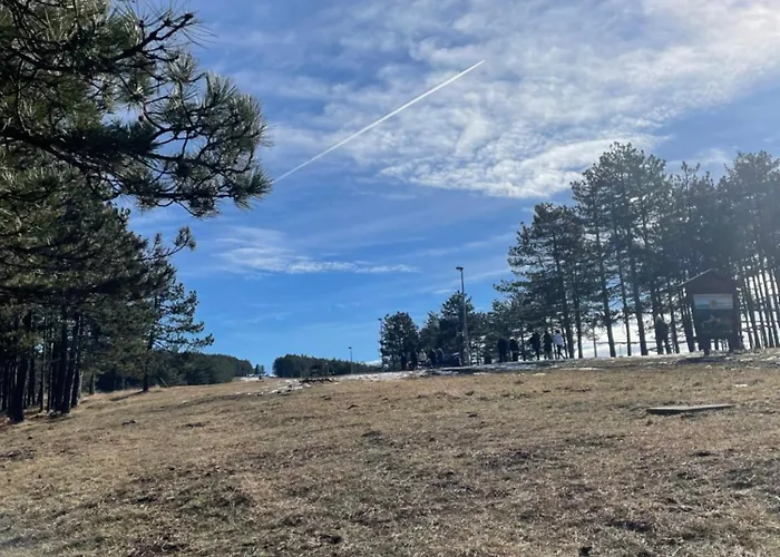 Vila Miris Borova Zlatibor Centar